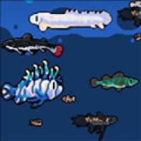 模拟水族馆1.1